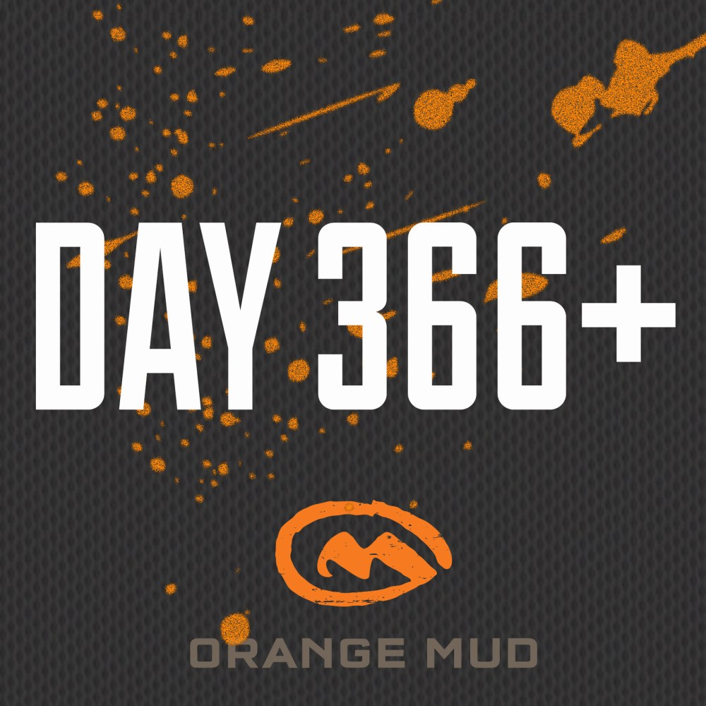 Day 366+